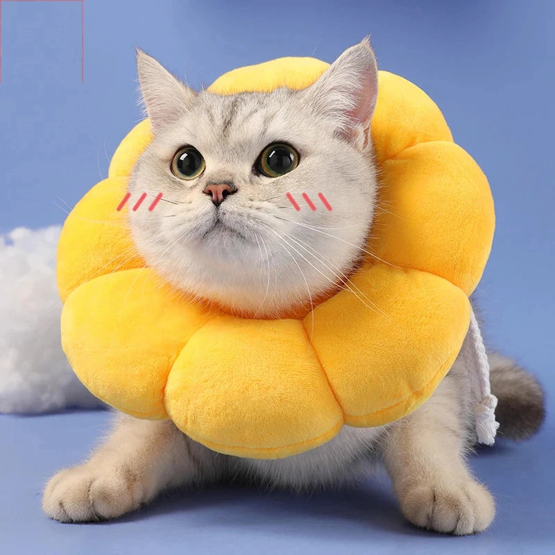 SUNFLOWER SHAPED CAT PROTECT NECK RING