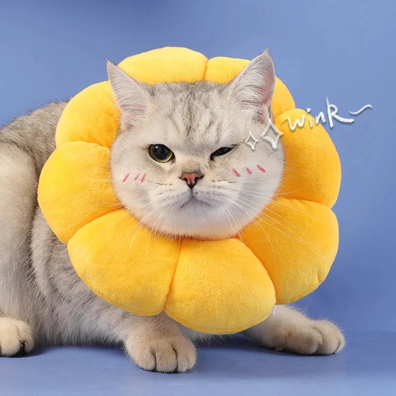 SUNFLOWER SHAPED CAT PROTECT NECK RING