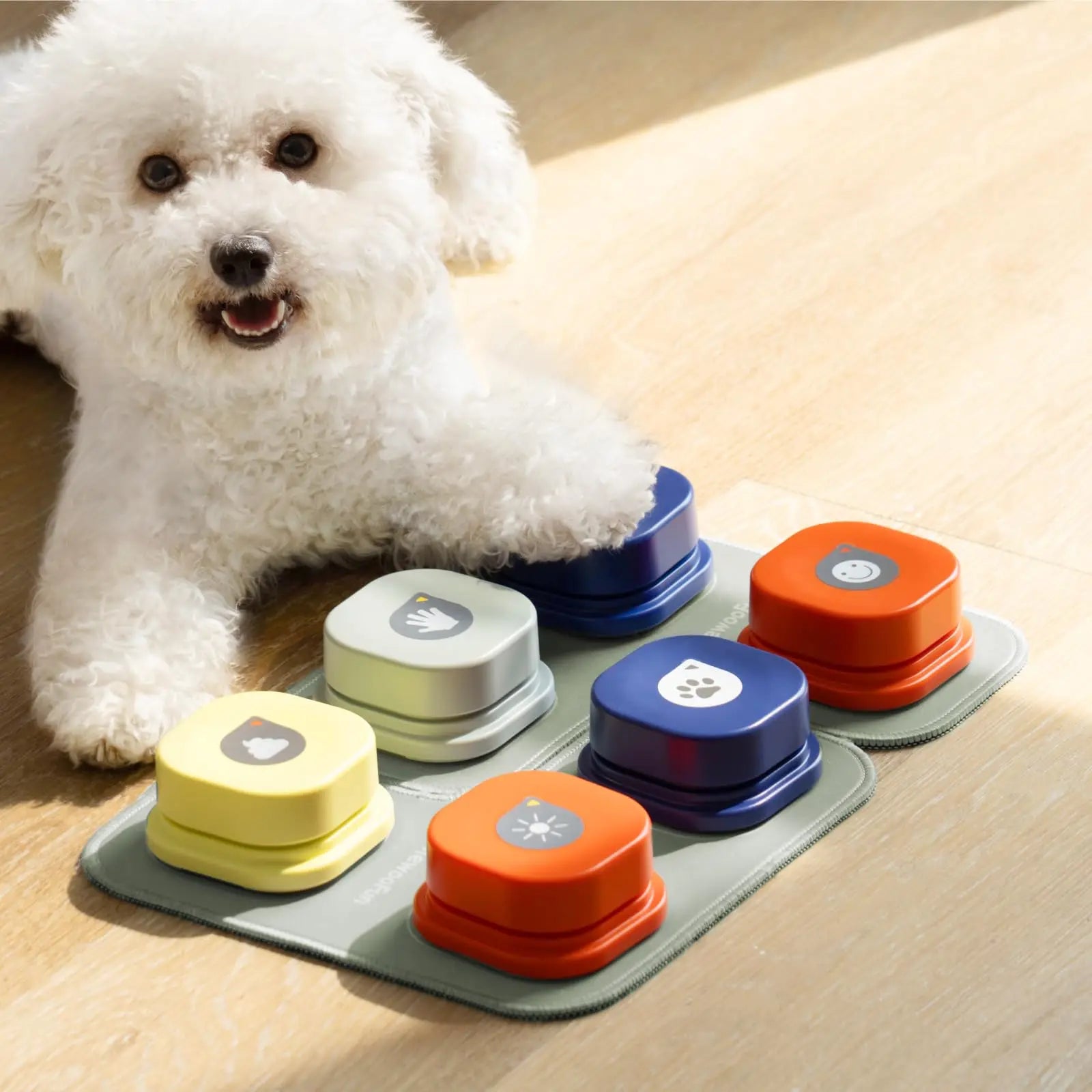 PET COMMUNICATION BELL TOY