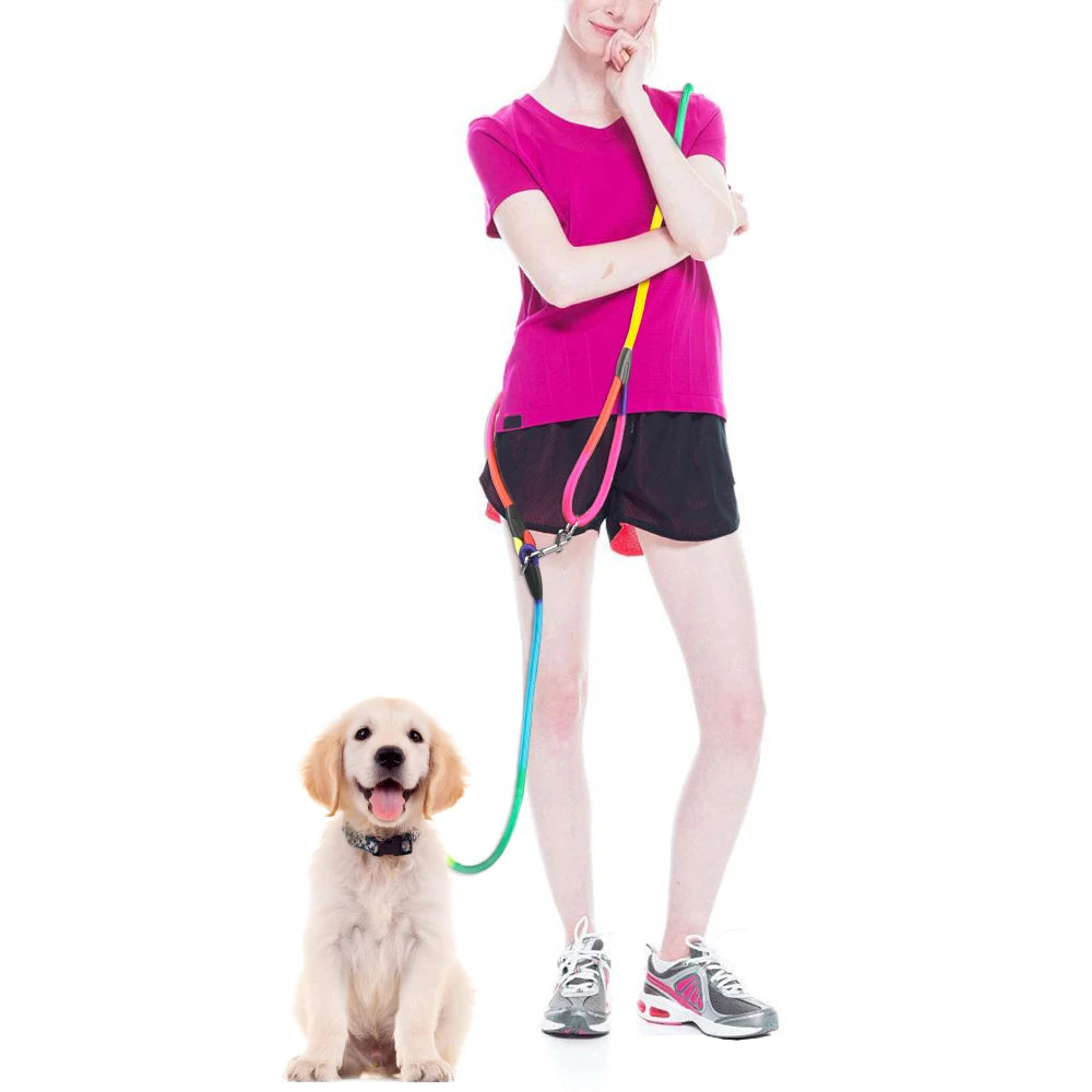 Pet Dogs Chain Traction Rope