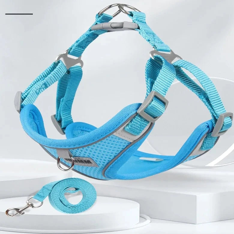 COZY PET HARNESS AND LEASH