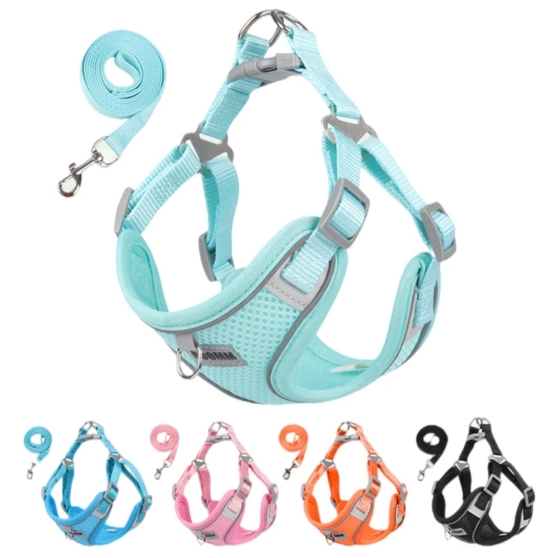 COZY PET HARNESS AND LEASH