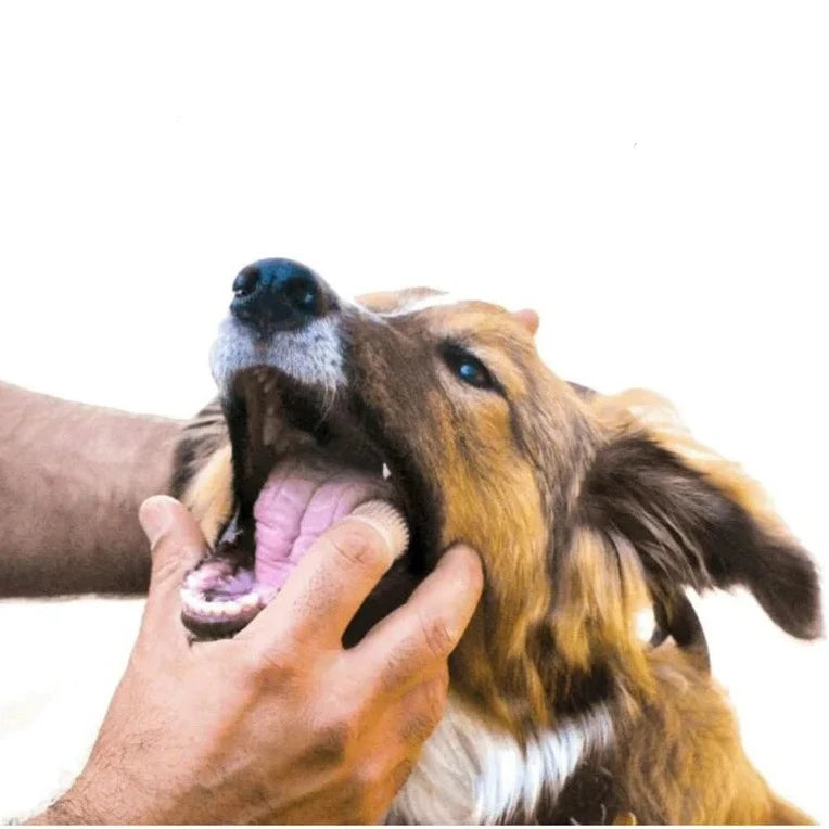 Dog Super Soft Pet Finger Toothbrush