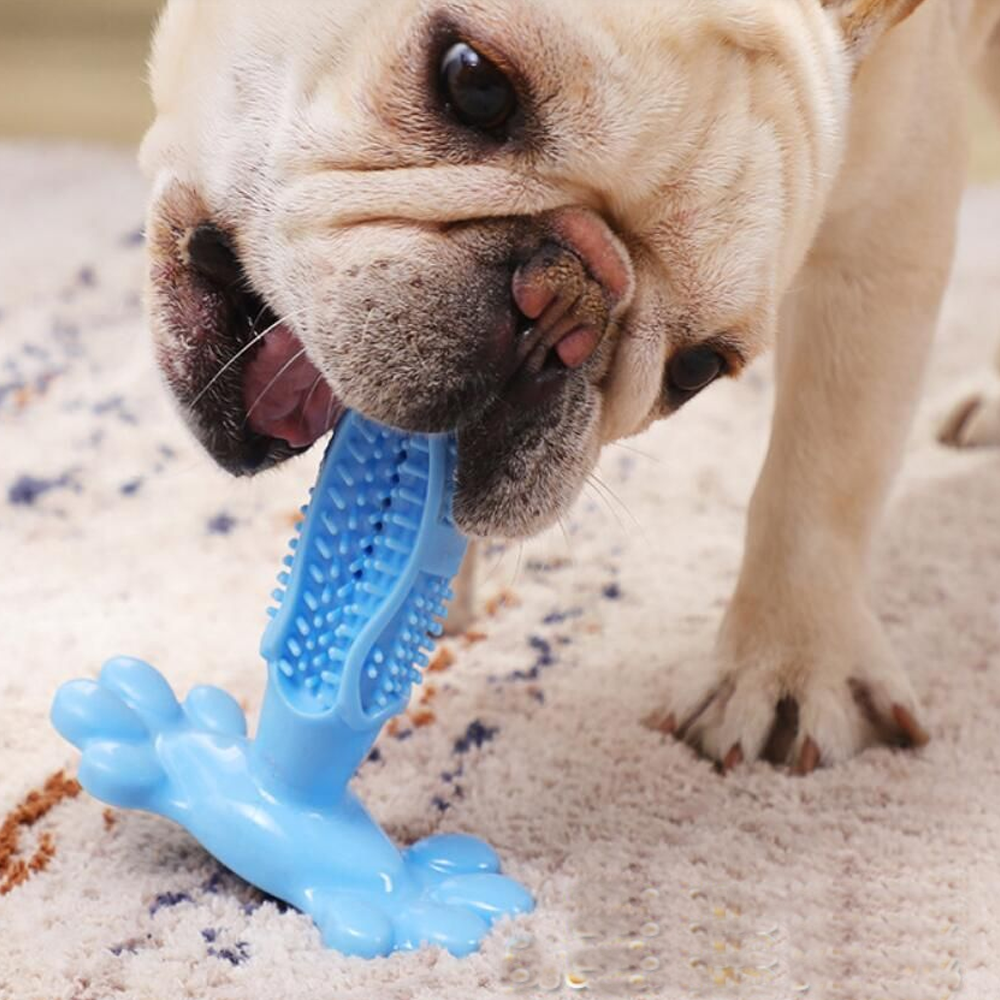DOG TOOTHBRUSH CHEW TOY